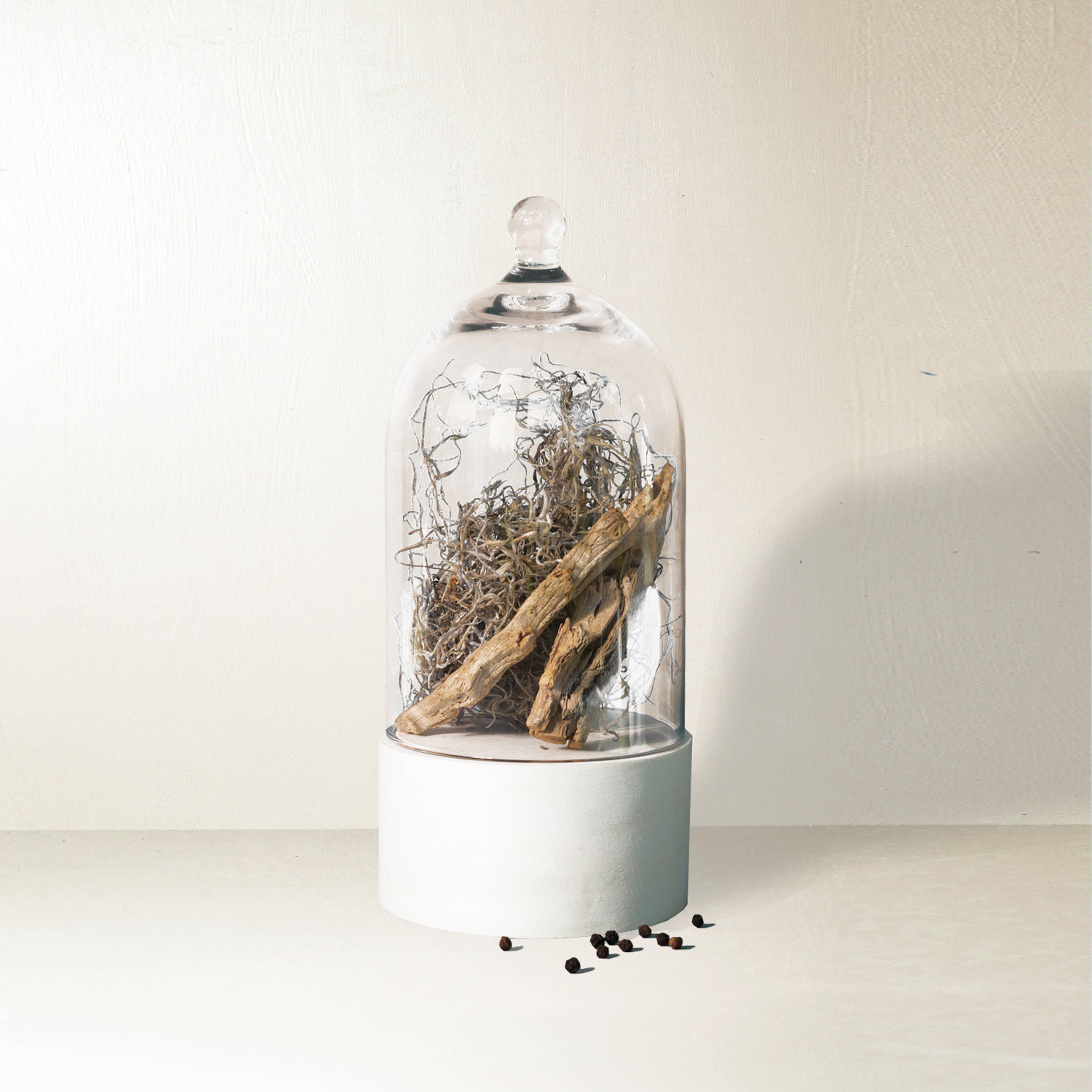 Dried Cedar + Moss Mini Candle