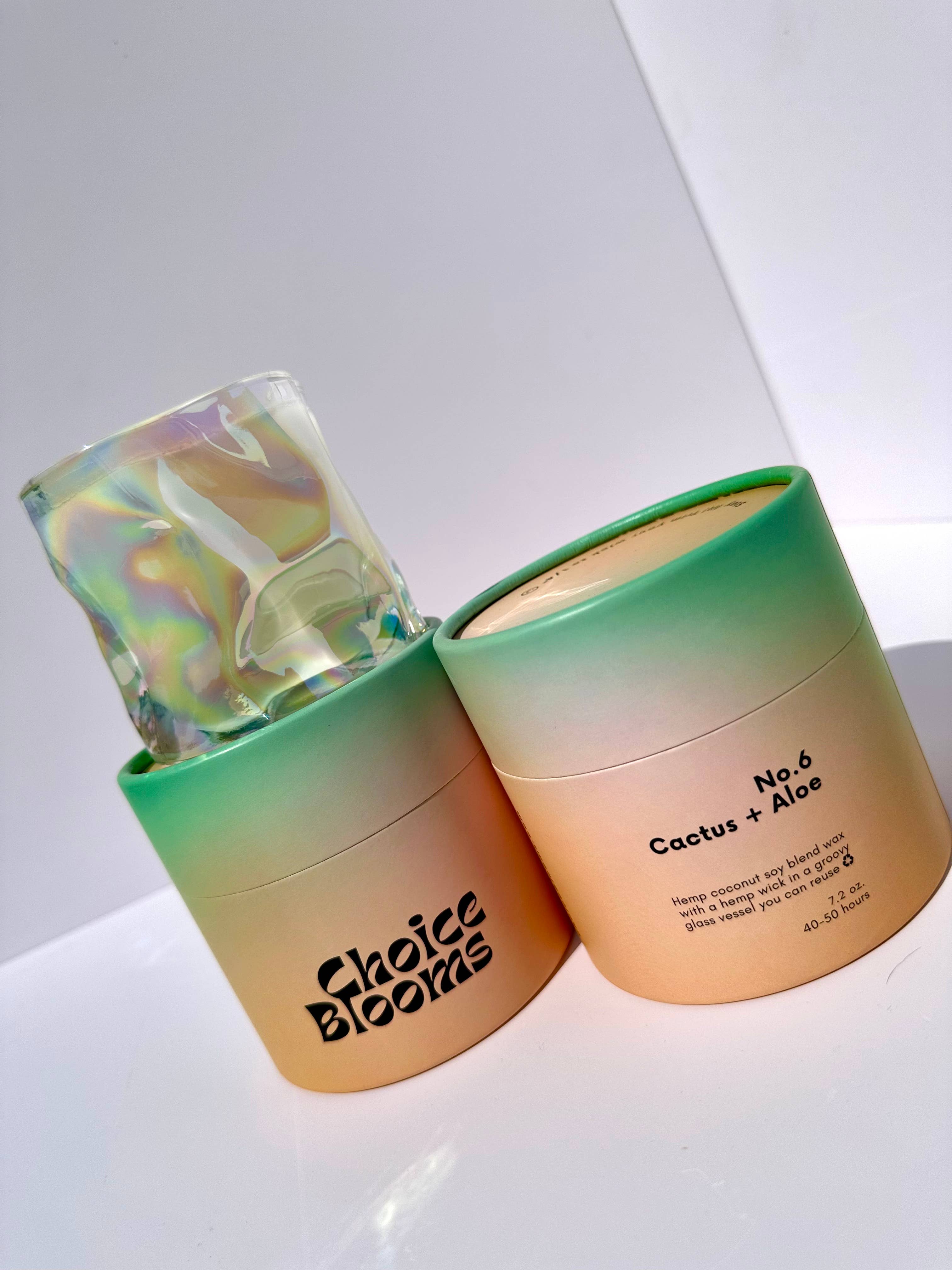 Choice Blooms - 7.2oz. No. 6 Cactus + Aloe Candle
