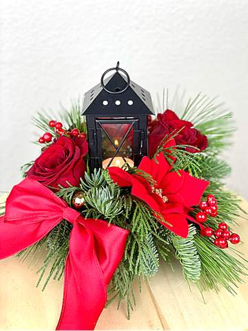 Succulents-Rose Valley-After Surgery,Appreciation,Aster,Blue Hydrangeas,Christmas,Desert Plant,Desk,Desk Buddy,Dry,Dyed Aster,Dyed Hydrangeas,Dyed Lilies,Easter,Easy Present,Ester,Family Present,Fourth of July,Get Well,Great Present,Green,Halloween,Hanukah,Happiness,Hydrangeas,Just Because,Less Water,Lilies,Loss,Love,Lust,Memorial Day,Pink Hydrangeas,Plant,Potted Plant,Present for Friend,Present for Work Friend,Sadness,Seasonal Basket,Seasonal Bouquet,Seasonal Box,succulent,Thanks Giving,Yellow Hydrangeas