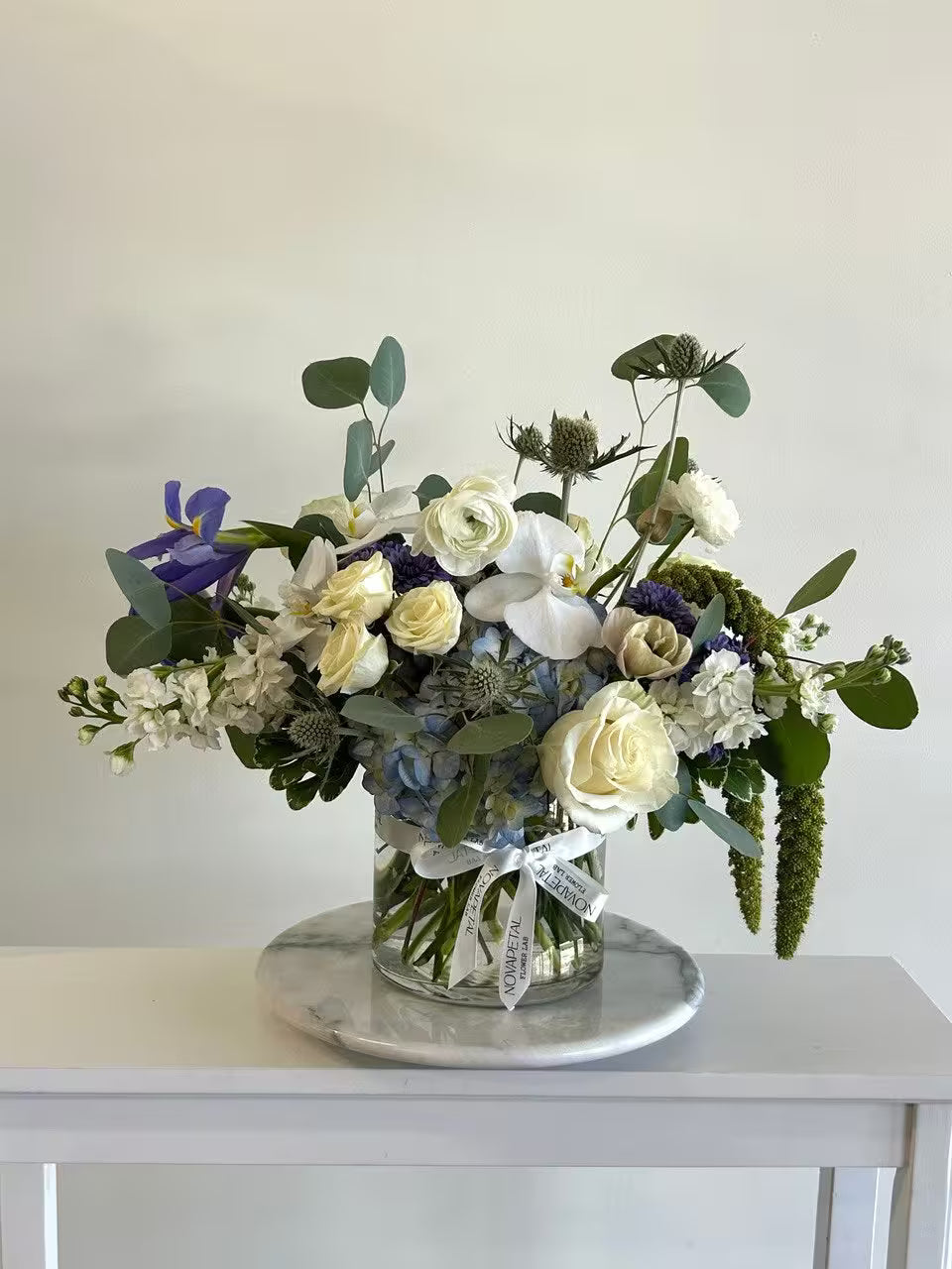 Blue Whisper Arrangement