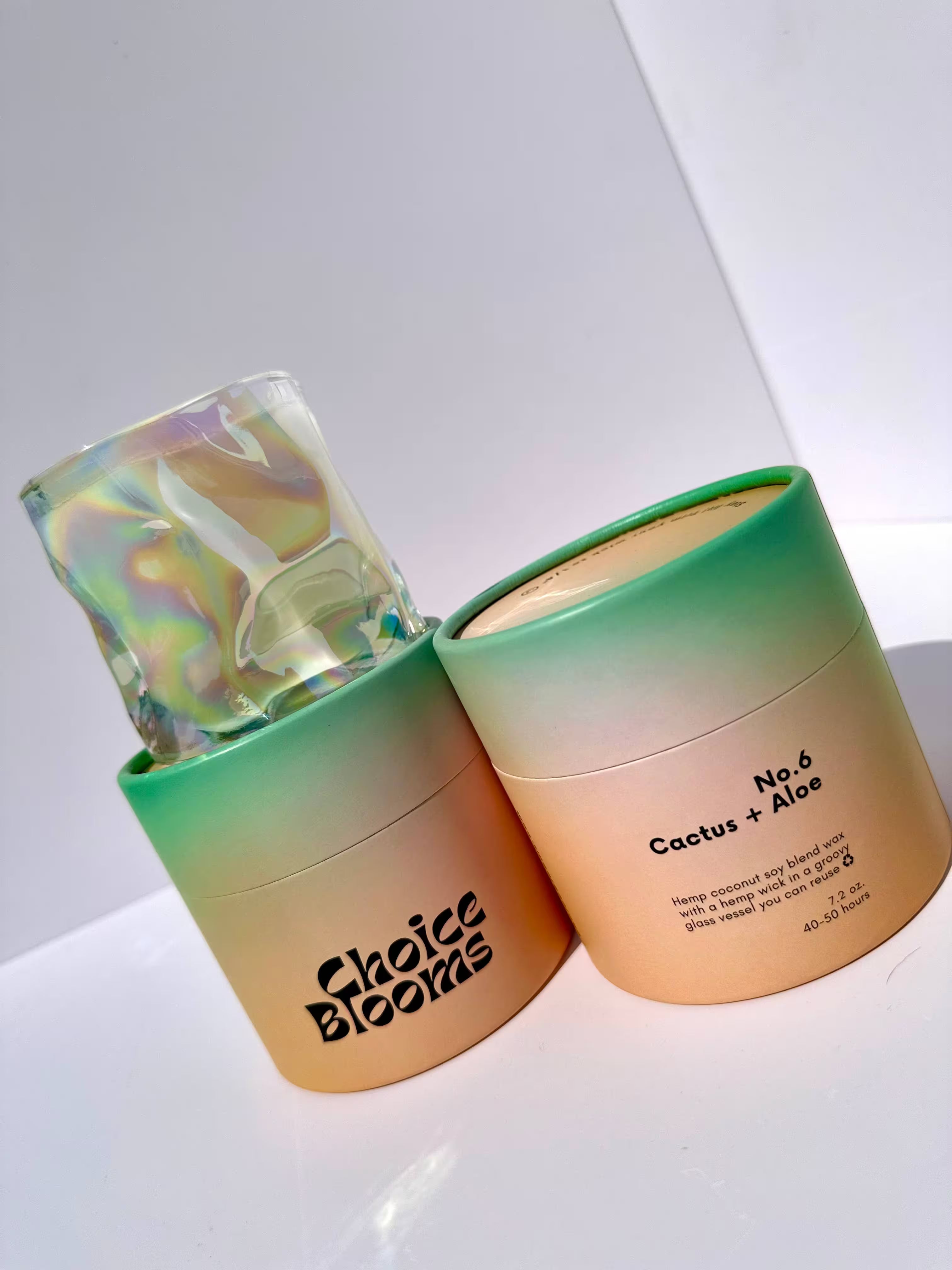 Choice Blooms - 7.2oz. No. 6 Cactus + Aloe Candle