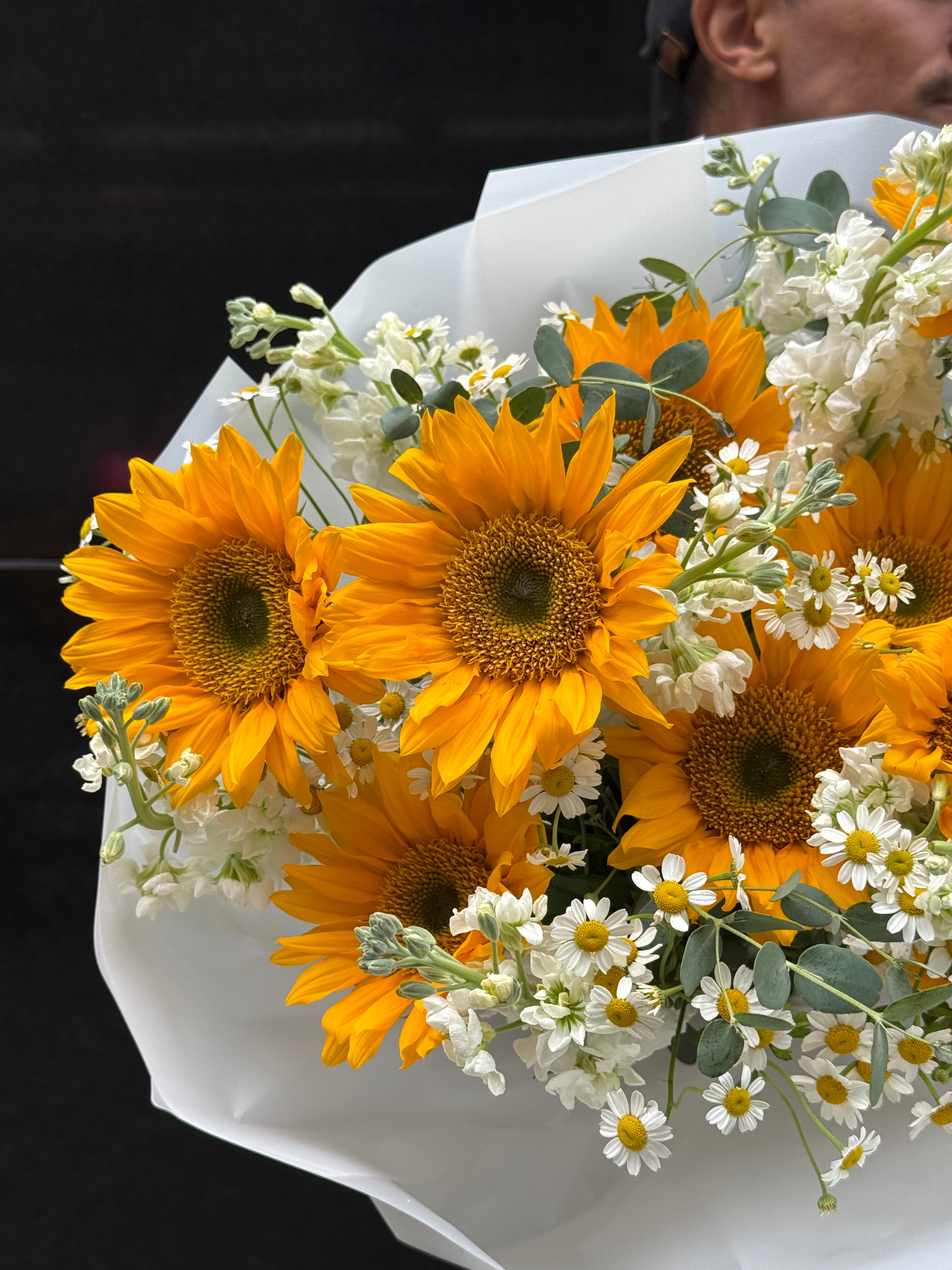 Sunflower Lover