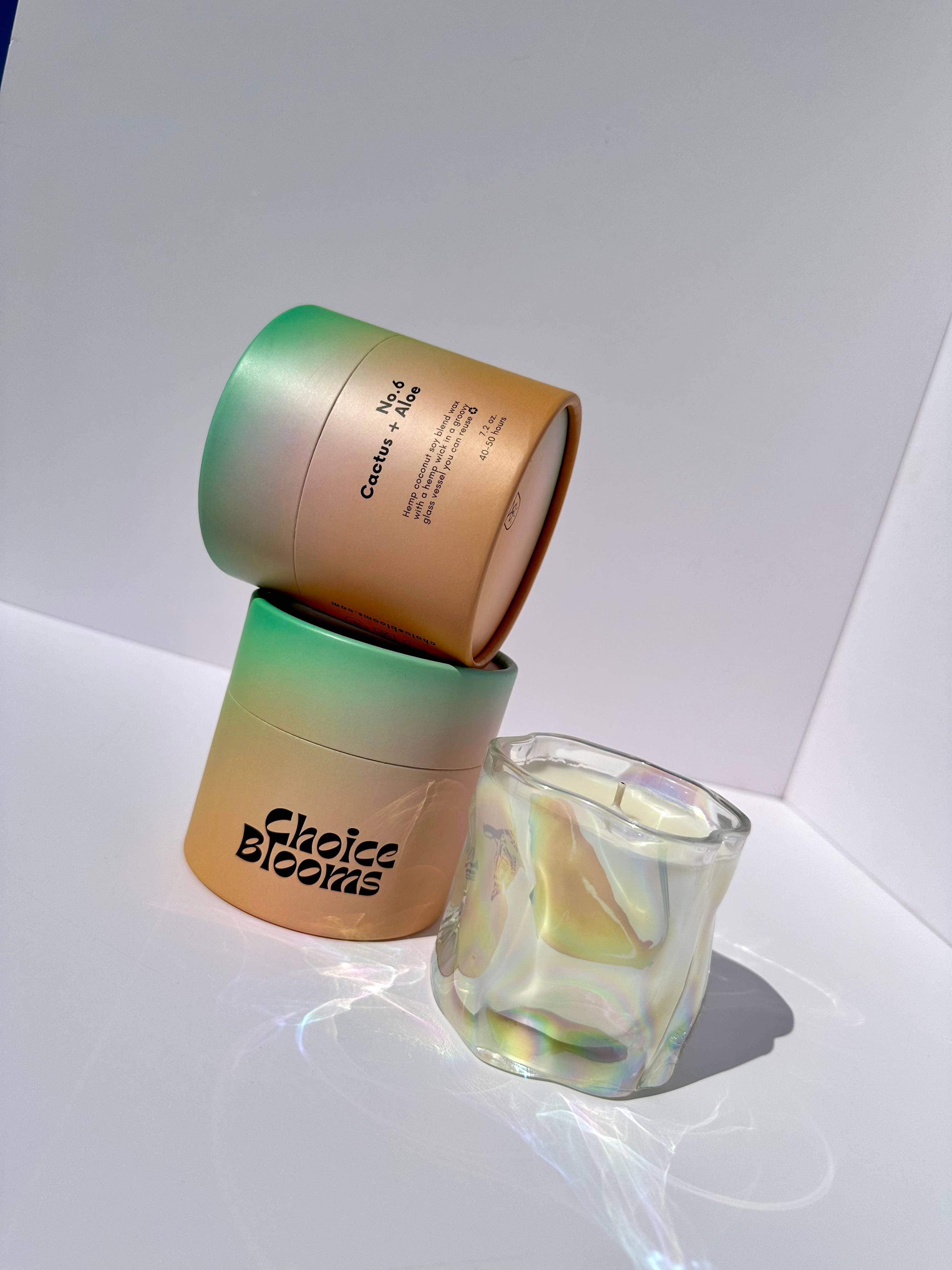 Choice Blooms - 7.2oz. No. 6 Cactus + Aloe Candle