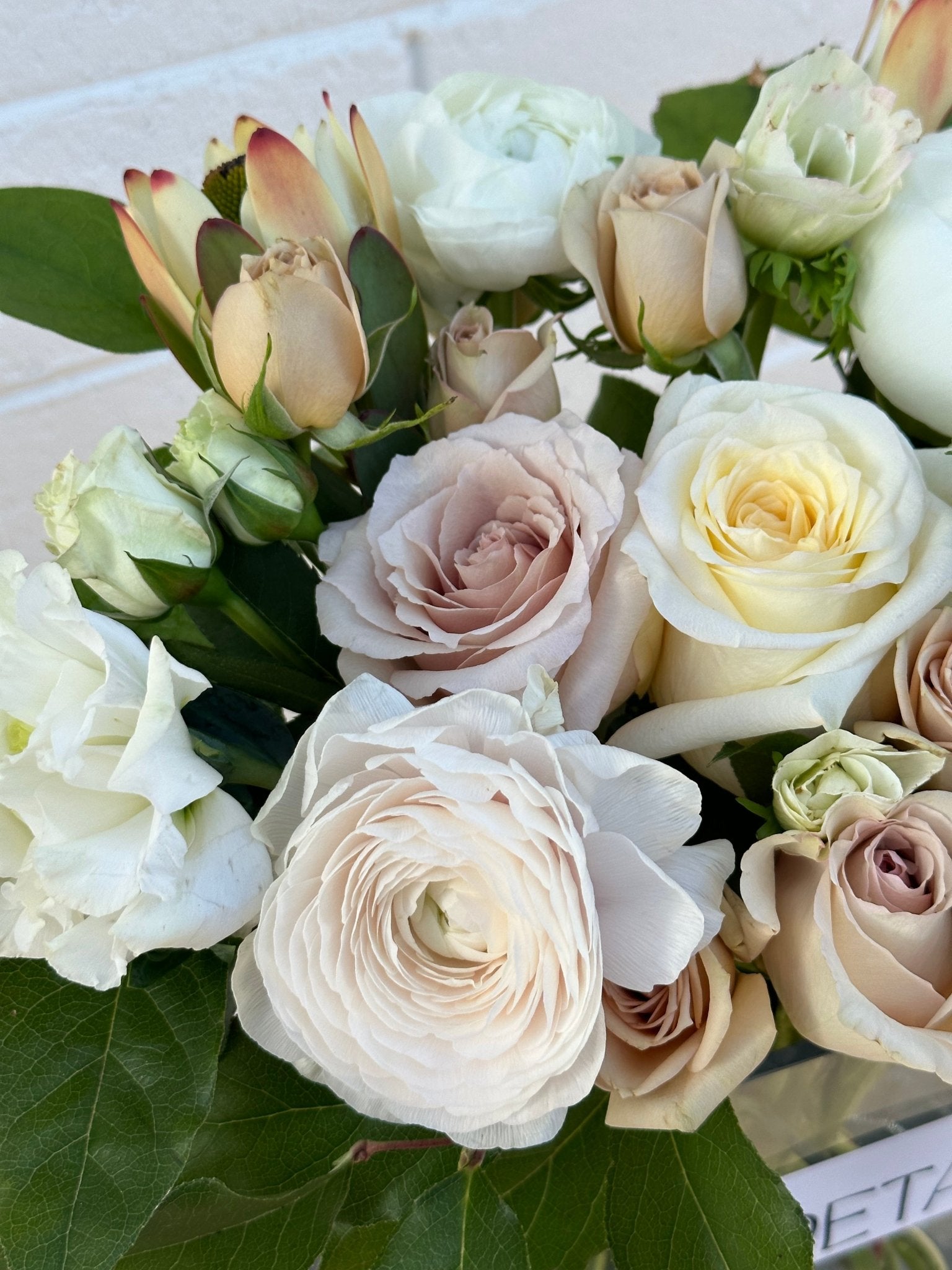 Nude Peonies