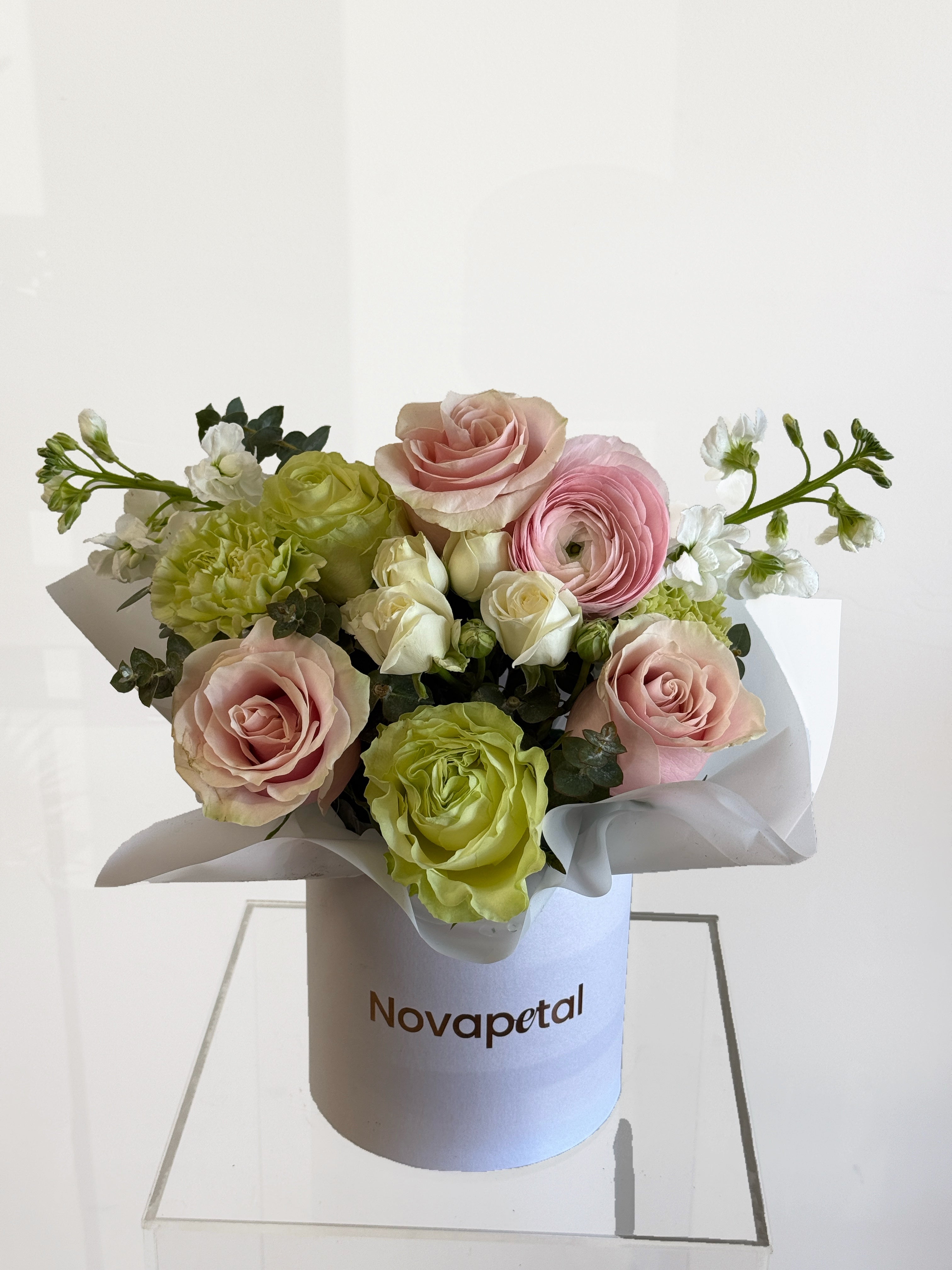 Alice Box Arrangement