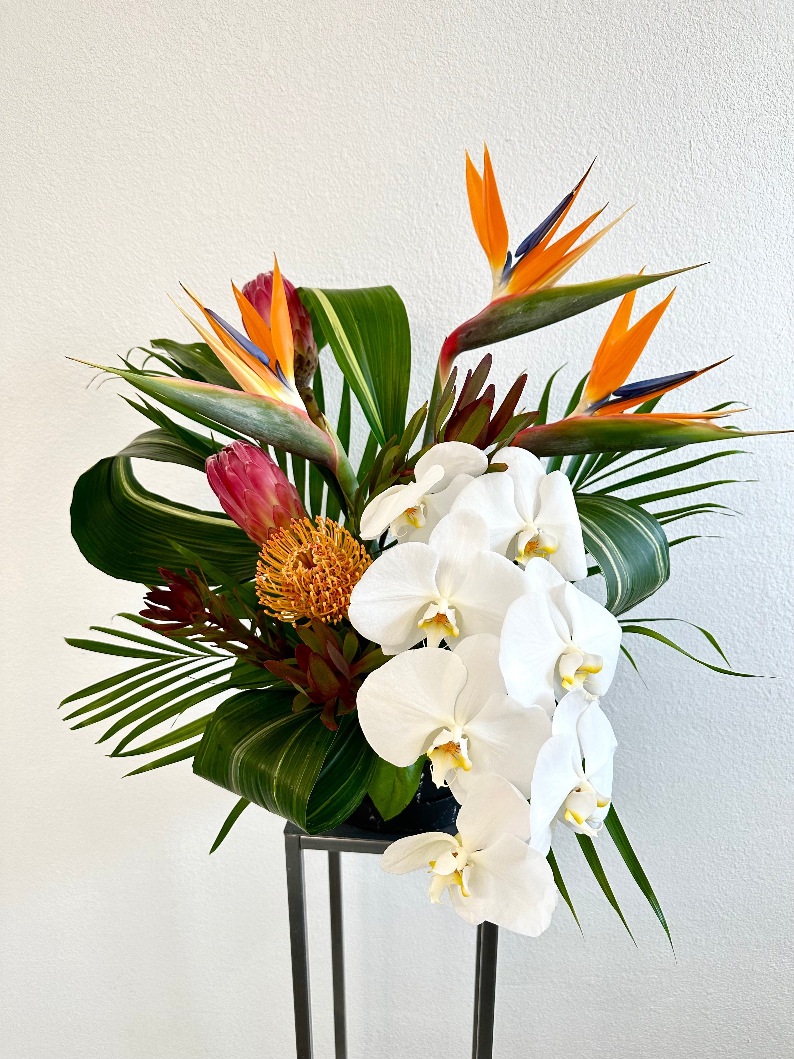 Designer Choice Tropical Arrangement