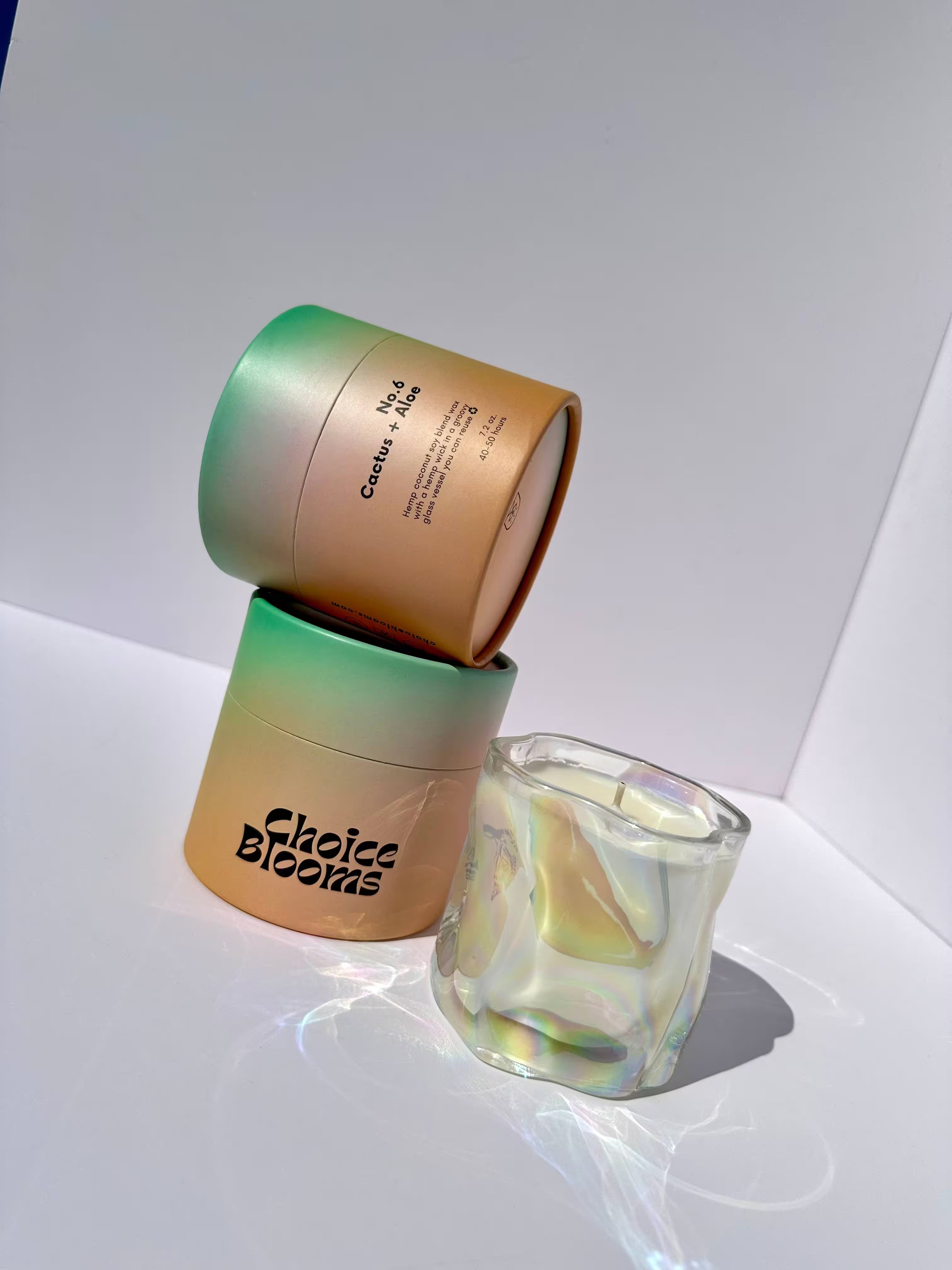 Choice Blooms - 7.2oz. No. 6 Cactus + Aloe Candle