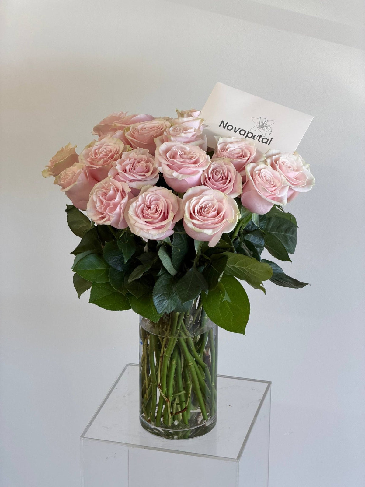 Two dozen pink roses with green leaves in a tall clear glass vase