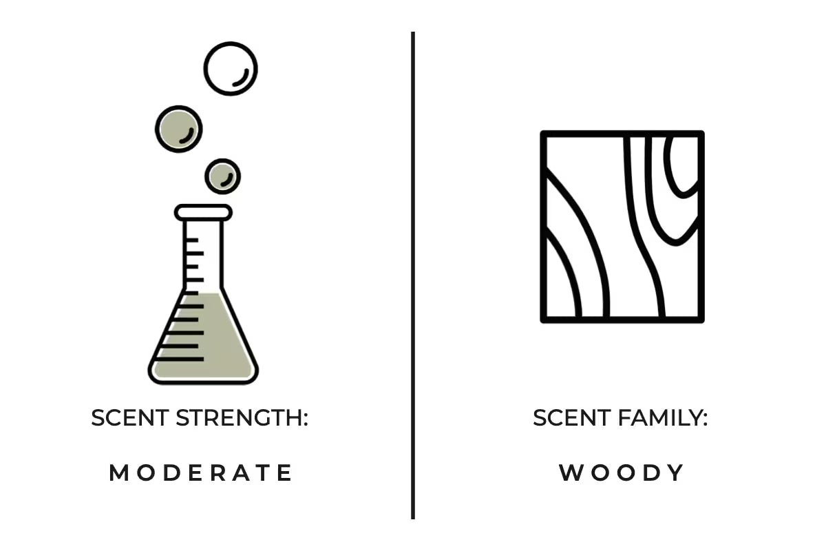 Dried Cedar + Moss Mini Candle