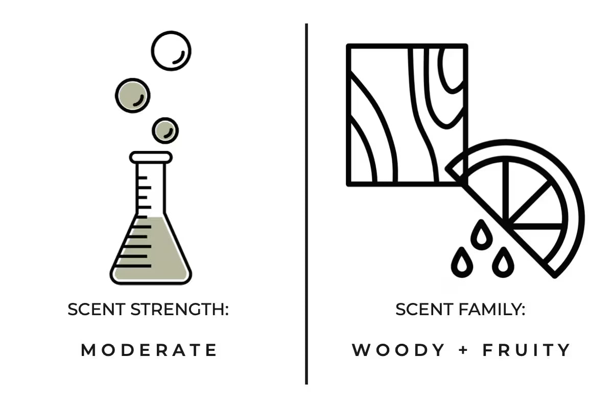 Stargazing Reed Diffuser